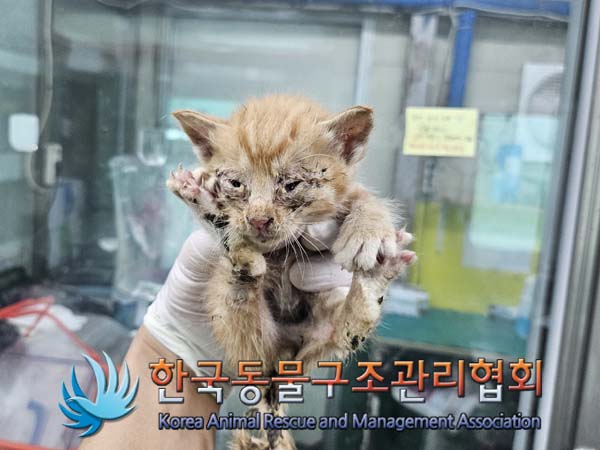 한국동물구조관리협회_411309202400280